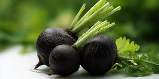 Black Radish