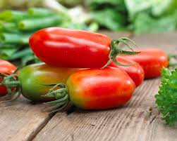 Marzano Tomato