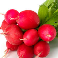 Breakfast Radish