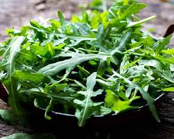 Rocket Herb