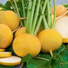Turnip Yellow